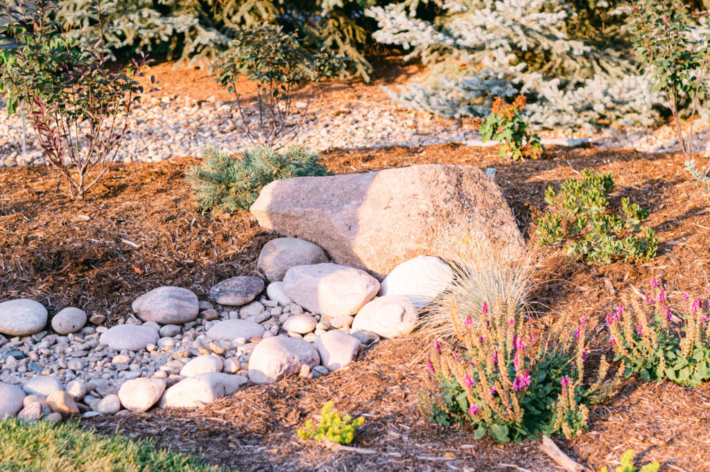 closeup of backyard landscape rocks flowers and shrubs