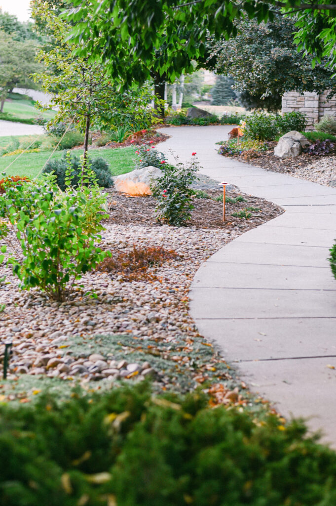 winding sidewalks and plants